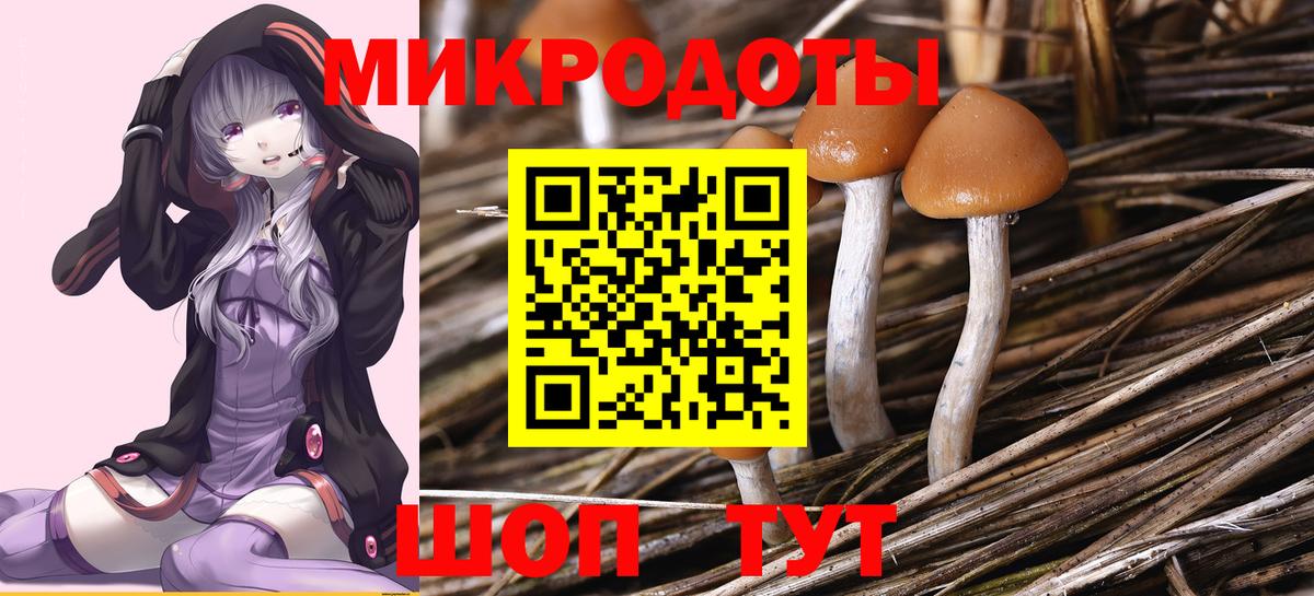Галлюциногенные грибы Psilocybe Тельмана