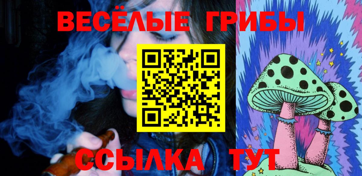 Галлюциногенные грибы Psilocybine cubensis  Галлюциногенные грибы Psilocybine cubensis  Тельмана  Вход с VPN 